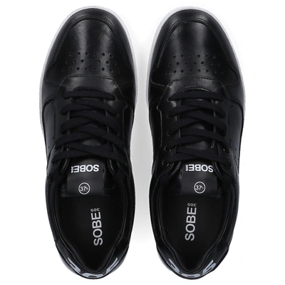 Shop 305 Sobe Sneakers Black Delano