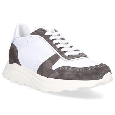 Shop 305 Sobe Sneakers White Sprint