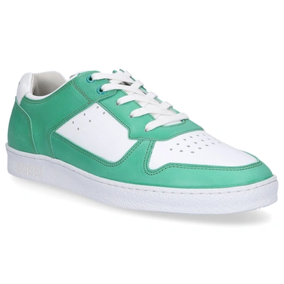 Shop 305 Sobe Low-top Sneakers Delano Calfskin In Green