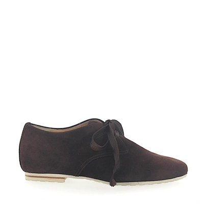 Shop Truman's Lace Up Shoes 7917 Suede In Brown