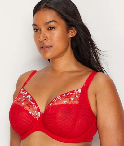 Shop Elomi Charley Floral Side Support Plunge Bra In Red