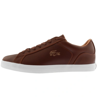 lacoste lerond brown
