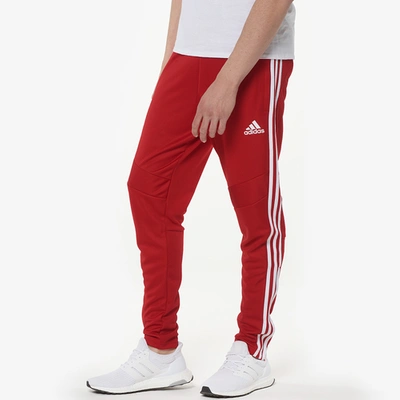 Adidas Originals Mens Adidas Tiro 19 Pants In Power Red/white | ModeSens