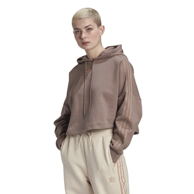 Shop Adidas Originals Womens  Cropped Hoodie In Brown/brown