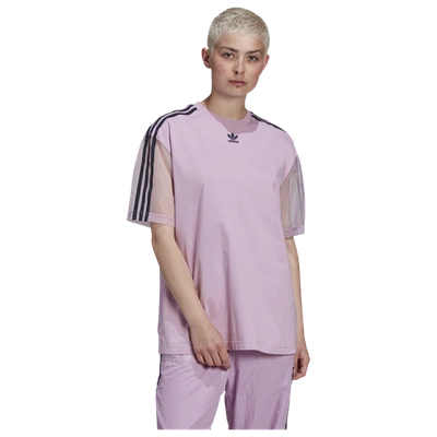 Shop Adidas Originals Womens  T-shirt In Magic Berry/purple