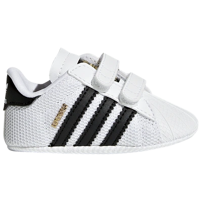 Shop Adidas Originals Boys  Superstar Crib In White/black/white