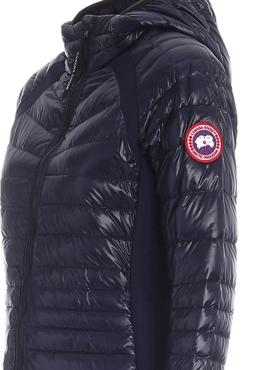 Shop Canada Goose Women's Blue Polyamide Down Jacket