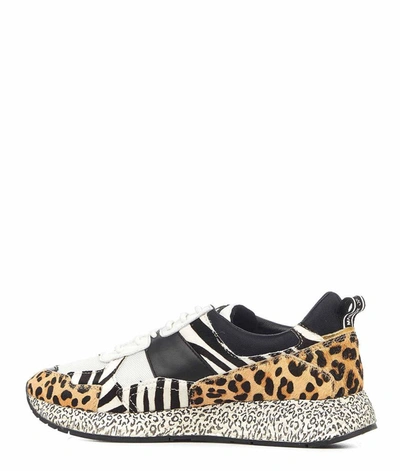 Shop Moa Women's Multicolor Sneakers