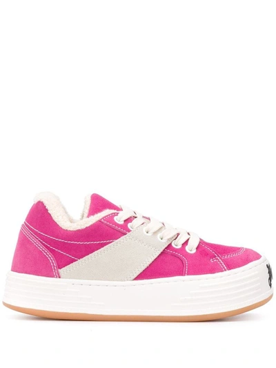 Shop Palm Angels Women's Fuchsia Suede Sneakers