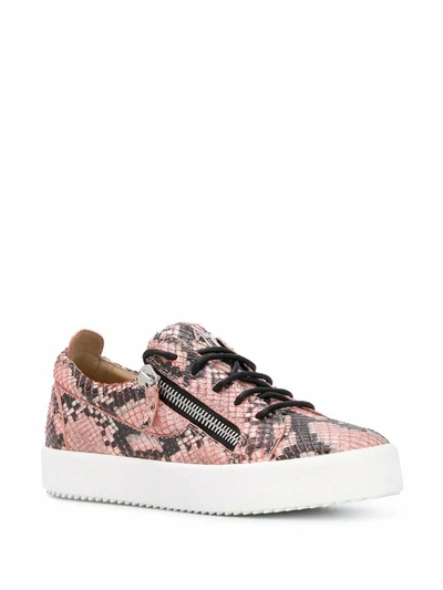 Shop Giuseppe Zanotti Design Women's Pink Leather Sneakers