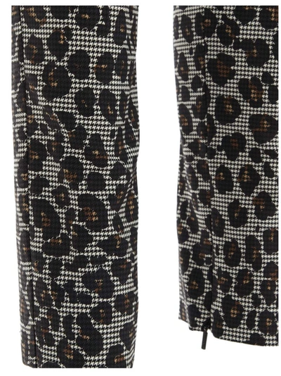 Shop Versace All Over Leopard Printed Pants In Multi