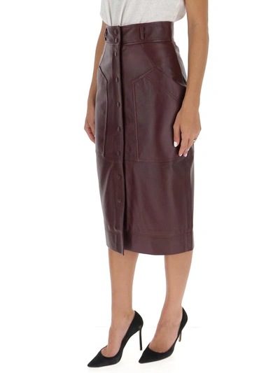 Shop Alberta Ferretti Buttoned Leather Skirt In Brown