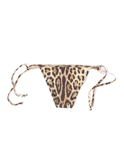 Shop Dolce & Gabbana Leopard Print Bikini Bottoms In Multi