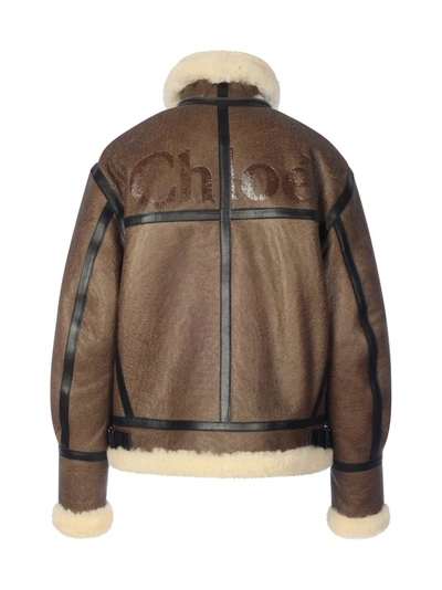 Shop Chloé Aviator Jacket In Brown