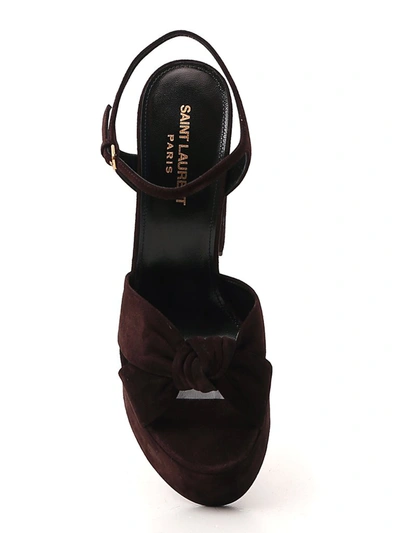 Shop Saint Laurent Bianca Knot Detail Sandals In Brown