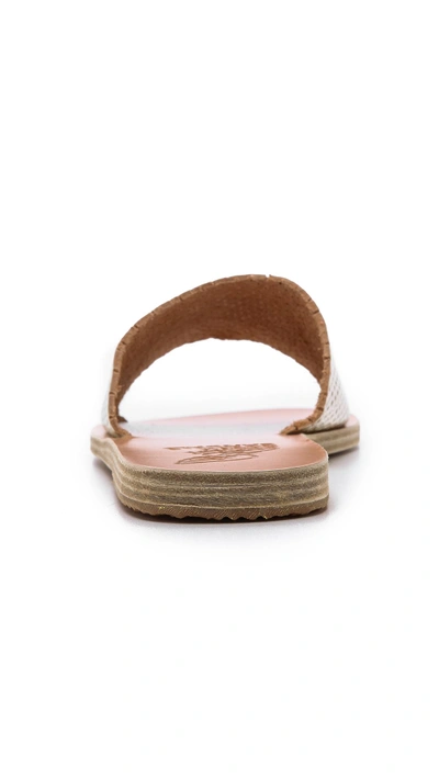 Shop Ancient Greek Sandals Taygete Slide Sandals In Platinum