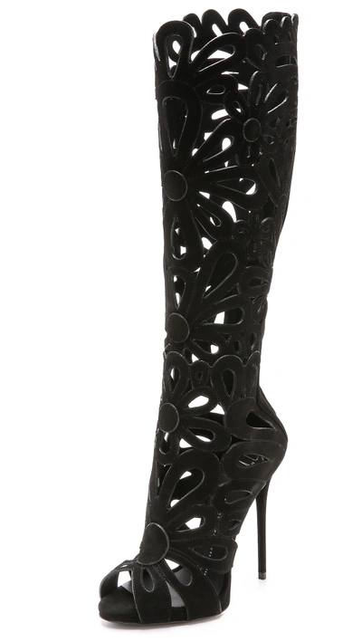 Giuseppe Zanotti 'coline' Floral Cutout Suede Knee High Boots In Black