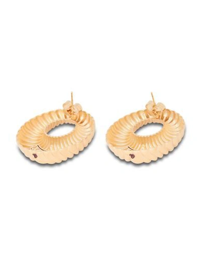 Shop Acchitto Earrings In Gold