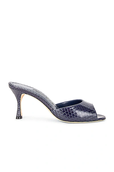 Shop Manolo Blahnik Jada 70 Mule In Navy