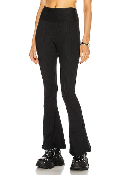 Shop Year Of Ours Ribbed Flare Legging In Black