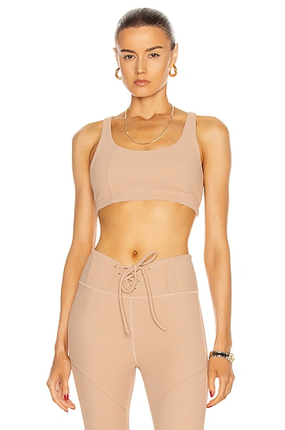 Shop Year Of Ours Thermal Lily Bra In Tan