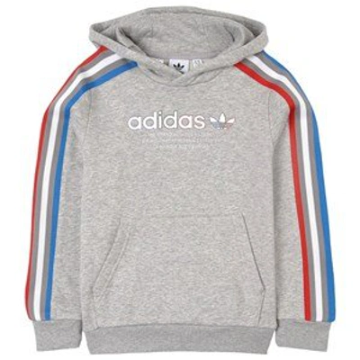 Adidas Originals Adidas Kids' Originals Adicolor Pullover Hoodie In Medium  Grey Heather | ModeSens