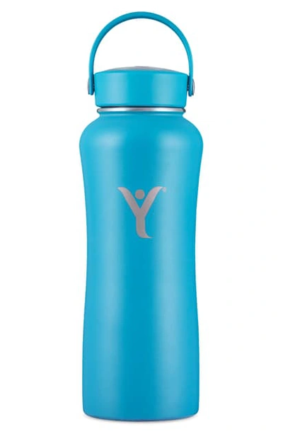 Shop Dyln 32-ounce Insulated Bottle With Vitabead Diffuser In  Blue
