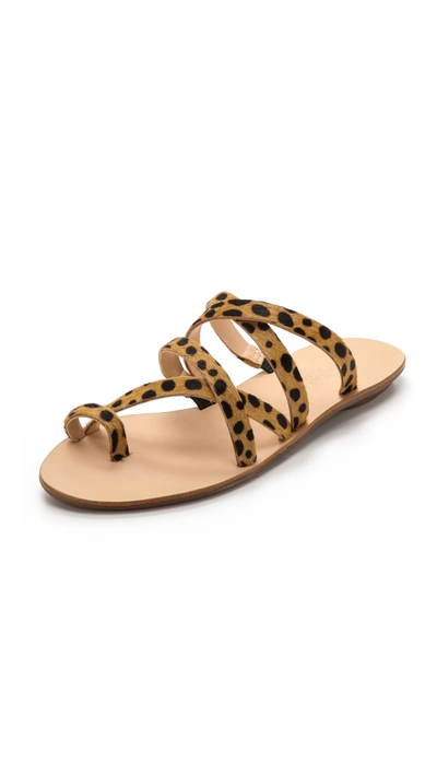 Shop Loeffler Randall Sarie Haircalf Flat Sandals In Cheetah