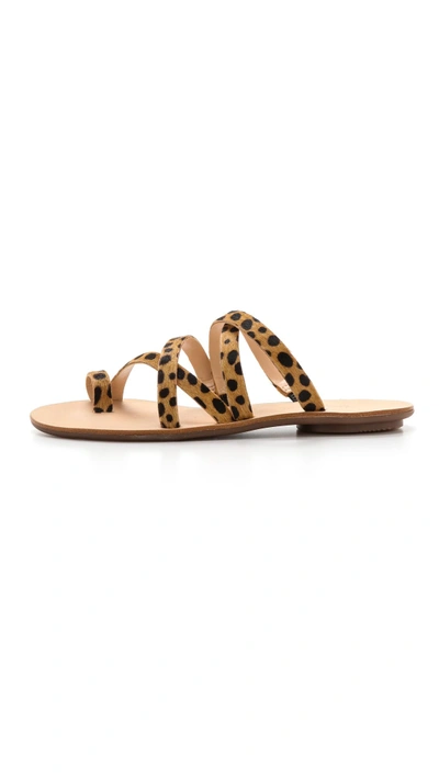 Shop Loeffler Randall Sarie Haircalf Flat Sandals In Cheetah