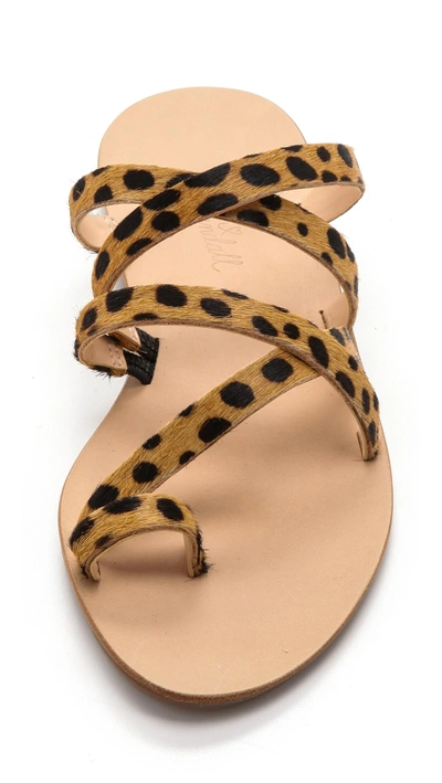 Shop Loeffler Randall Sarie Haircalf Flat Sandals In Cheetah