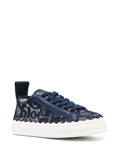 Shop Chloé Lauren Lace Sneakers In Blue