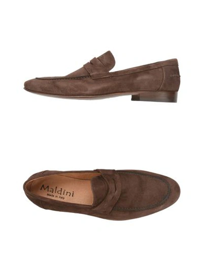 Shop Maldini 7450 Man Loafers Dark Brown Size 12 Soft Leather