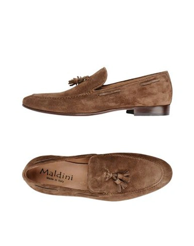 Shop Maldini 742 Man Loafers Cocoa Size 10 Soft Leather In Brown