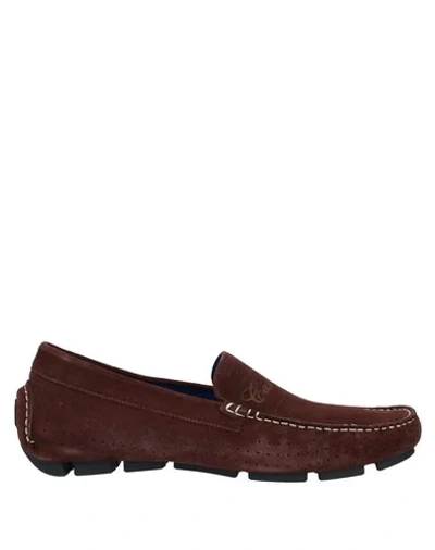 Shop Castangia Loafers In Cocoa