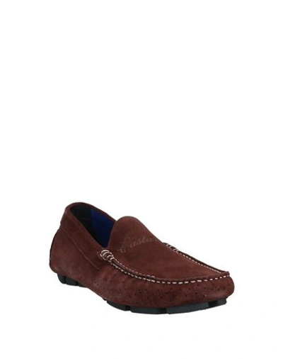 Shop Castangia Loafers In Cocoa