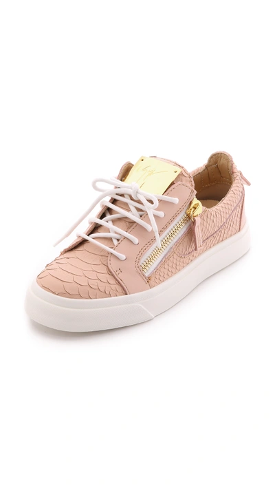 Shop Giuseppe Zanotti Leather Sneakers In Pink