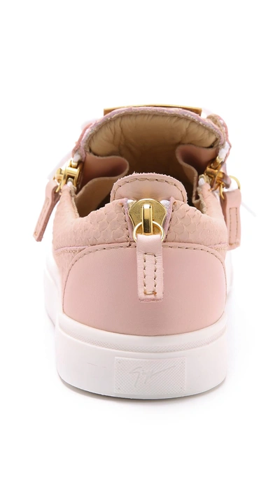 Shop Giuseppe Zanotti Leather Sneakers In Pink