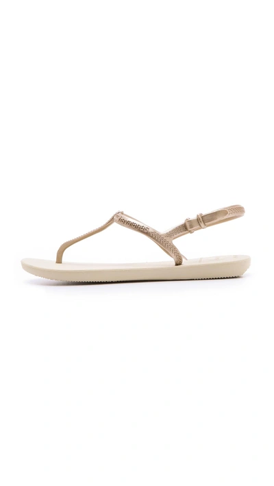 Shop Havaianas Freedom T-strap Sandals In Sand Grey/light Golden;black