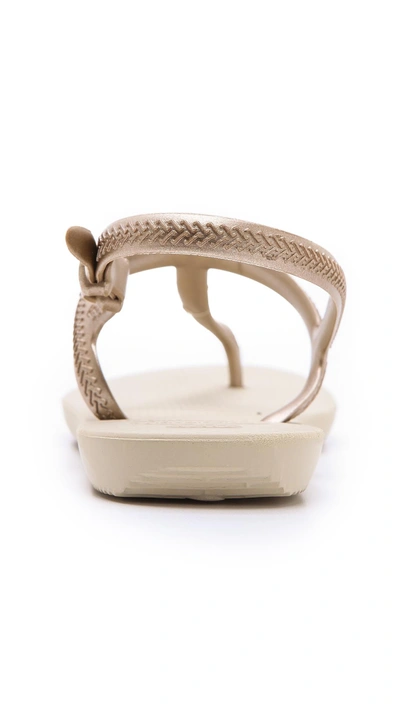 Shop Havaianas Freedom T-strap Sandals In Sand Grey/light Golden;black