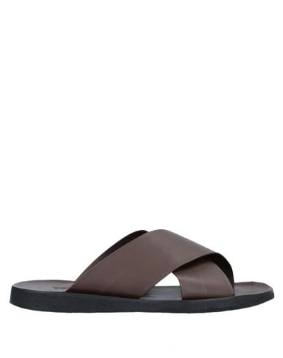 Shop Bagatt Man Sandals Dark Brown Size 11 Soft Leather