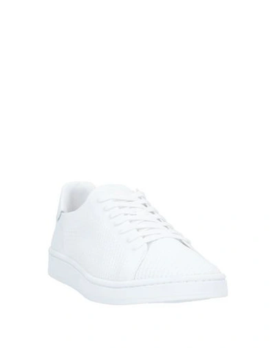 Shop Thoms Nicoll Man Sneakers White Size 6 Textile Fibers