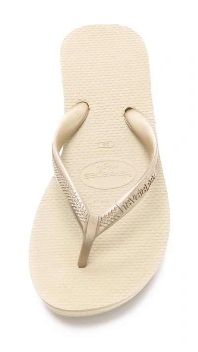 Shop Havaianas High Light Wedge Flip Flop In Sand Grey/light Golden;black