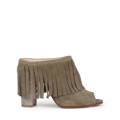 Casadei Mules In Olive Green