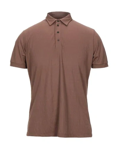 Shop Beaucoup , Polo Shirts In Brown