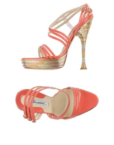 Brian Atwood In Coral