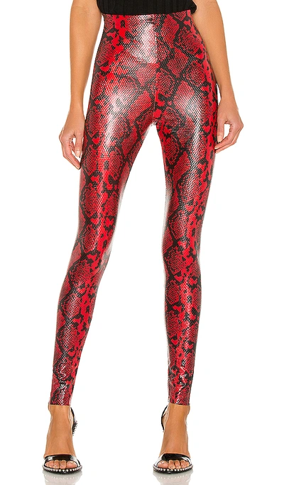 Shop Commando Faux Leather Animal Legging In Red Snake