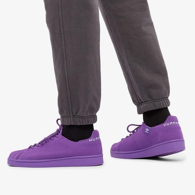 Shop Adidas Originals Adidas X Pharrell Williams Superstar In Purple