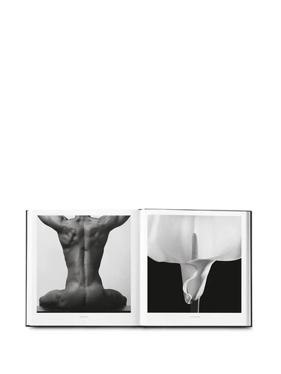 Phaidon Press Robert Mapplethorpe In Black