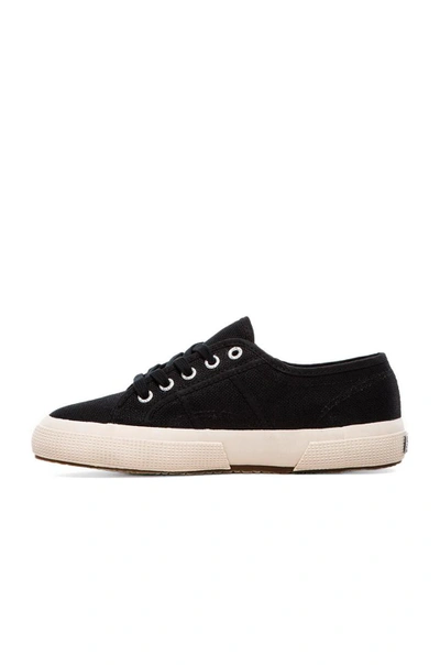 Shop Superga Cotu Classic Trainer In Black