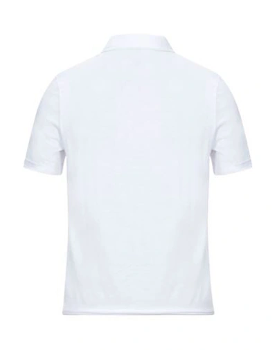 Shop Alpha Studio Man Polo Shirt White Size 38 Cotton